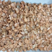 خرید انواع خوراک دام و طیور